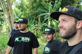 International Cannabis Business