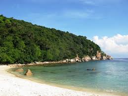 Since it's opening, chagar hutang has released over 300,000 green turtles and 7,000 hawkbill turtles through their program. Conservation Sea Turtle Research Unit Seatru