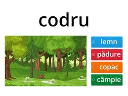Imi face si mie cineva o redactare in franceza in care sa iti descri sentimentele pentru un prieten.urgent. Sinonime Antonime Unterrichtsmaterialien