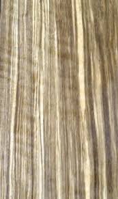 Black And White Ebony Wood Database A Typical Specimen For Black Bean Castenospermum Australe Types Of Wood Beautiful Wood Wood