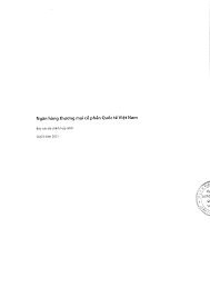 Ngân hàng thương mại cổ phần Quốc tế Việt Nam - Báo cáo tài ...