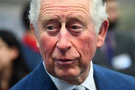 Prince charles, 71, had been experiencing mild symptoms from the virus but otherwise remained in good on march 10, charles sat across a table from prince albert ii of monaco, who nine days later. Britain S Prince Charles Tests Positive For Coronavirus Europe News Top Stories The Straits Times