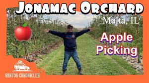 We did not find results for: Favorite Place To Apple Pick In Il Jonamac Orchard Mouthcam Youtube