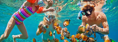 Holiday es un término alternativo para hols. Holiday Types 2021 2022 Package Holidays Virgin Holidays