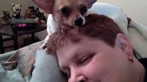 Fundraiser for Ellen Bukowski by Charlene Chickey : Assist Amy's Family  During This Difficult Time