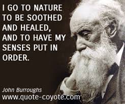 John Burroughs quotes - Quote Coyote via Relatably.com