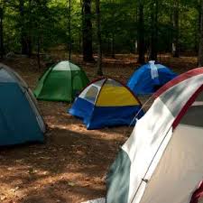 There are hundreds of miles of roads. Best Camping In And Near Talladega National Forest