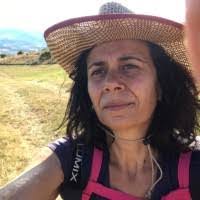 Laura Celli's Instagram, Twitter & Facebook