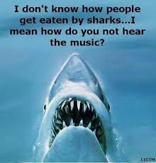 Idk How Ppl Get Eaten By Sharks I Mean How Do You Not Hear The Music Shark Great White Shark Shark Attack