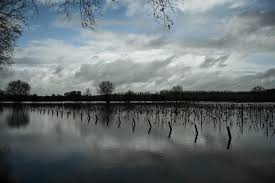 Un plan de prévention du risque inondation (ppri) a été approuvé en 2020 pour le cern et ses rives impactant notamment le bourg d'azerat 20, 21. Bordeaux Afp Inondations Dans Le Sud Ouest Vigilance Rouge Levee En Lot Et Garonne