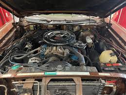 Image result for Chestnut 1973 Fury