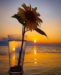 اللهم زدنا نورا في القلب وضياء في الوجه وسعة في الرزق ومحبة في قلوب العباد واغفر لنا و sunset captions for instagram evening pictures sunset captions