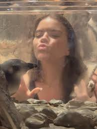 These are the ones SpongeBob caught w ole reliable