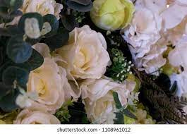 Freesia Flower Shop Surabaya Best Flower Wallpaper