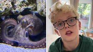 This kid asked his dad for a pet octopus. He never expected what happened  next
