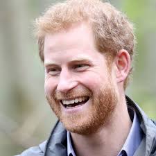 Prince Harry bucks night will include a boozy ski trip