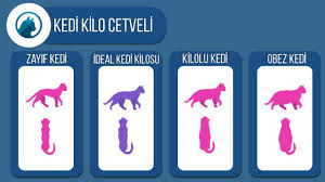Kedi Kilo Cetveli 2020 Kedi Cetvel Kilo