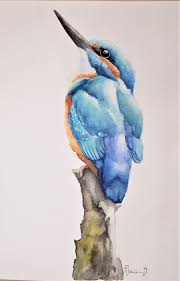 Choose from over a million free vectors, clipart graphics, vector art images, design templates, and illustrations created by artists worldwide! Pin On Birds