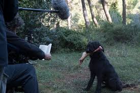 Ένα καινούριο εγώ στις σπέτσες ή τη μύκονο; To Flix Sta Gyrismata Toy Eteros Egw Xamenes Psyxes Toy Swthrh Tsafoylia