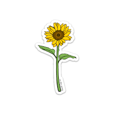 And the stickers for water bottles are rich in color and make up for your needs for different skateboard sticker elements! The Sunflower Sticker Tumblr Stickers Succulent Stickers Nature Stickers