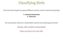 06 01 Classification Project Ppt Video Online Download