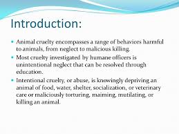 We may not understand animal speech, but they understand human actions. Should Animal Cruelty Laws Be Stricter Ppt Video Online Download