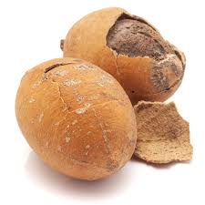 Image result for Balanites aegyptiaca