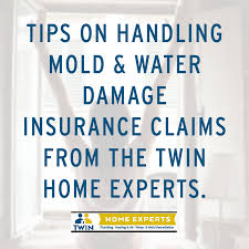 Tips On Handling Mold Water Damage Insurance Claims Water Damage Flood Damage Mold Remediation