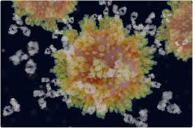 With jim carrey, cameron diaz, peter riegert, peter greene. What Is A Protective Neutralizing Antibody Titer Against Sars Cov 2 Infection