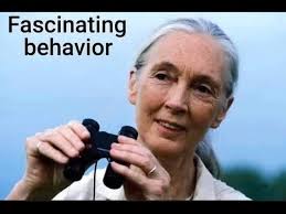 BREAKING: Anti-ICE rioters are once again attempting to BREAK INTO the ICE  facility in Los Angeles, launching expIosives at the windows THIS IS AN  INSURRECTION.