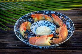 Maybe you would like to learn more about one of these? Best Key West Stone Crab Season Dining The Paradise Inn