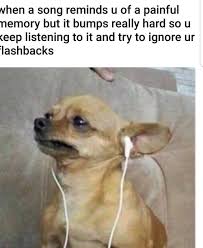 205 8k Likes 2 020 Comments Hoodclips Hoodclips On Instagram Lol Funny Dog Memes Funny Relatable Memes Animal Memes