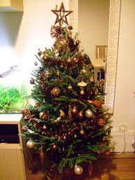 Ton sapin te revient donc à 6 €. Mon Beau Sapin Chez Ikea A 1euro C Est Fini Chokomag