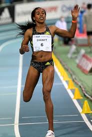 የሎዛ አበራ አድናቂዎችና ደጋፊዎች አምድ LOZA ABERA FANS