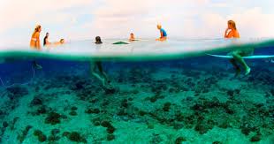 Security Check Required Facebook Wasser