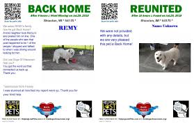 How to report a found dog. When Everyone Uses One System Helping Lost Pets To Report Both Lost And Found Dogs The Magic Happens Remy Was Quickly Reunite Losing A Pet Pets Lost Found