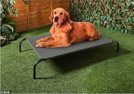 A hair serum is particularly beneficial in humid environments (i.e. B M Sun Loungers For Your Dogs To Cool Down In Summer Heat Daily Mail Online