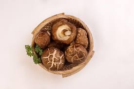 Image result for Lentinus edodes