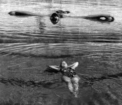 swimming science bulletin