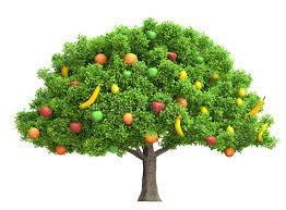 Order online and enjoy delivery australia wide. Fruit Tree Png Stock Illustrations 380 Fruit Tree Png Stock Illustrations Vectors Clipart Dreamstime