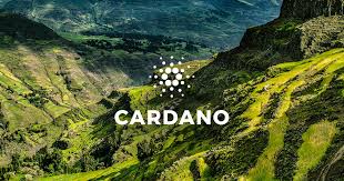 Cardano's African Governance Pivot Bets Community Power Over Institutional Control