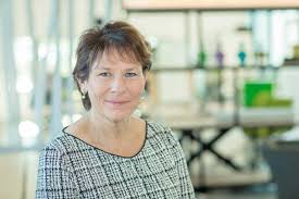 Born 12 july 1962) is a dutch politician of the labour party (pvda) and activist. Chro Profiel Elly Ploumen