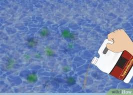 4 Manieres De Traiter Les Algues Dans Une Piscine