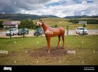 Fake horse hi-res stock photography and images - Alamy