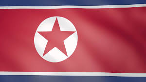 Image result for north korea flag