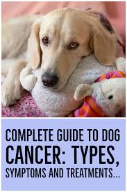 Pin On Pets Lovers Group Board