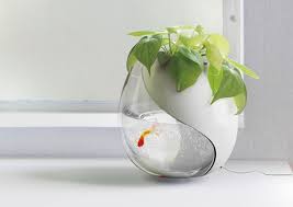 In this complete guide to betta fish tanks we detail exactly what makes the best tank before reviewing the most popular tanks available at the moment. Arts And Crafts To Make Unique Betta Fish Tank