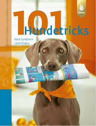 Weitere ideen zu hundetricks, tricks für hunde, hund beschäftigen. 101 Hundetricks Von Kyra Sundance Buch Thalia