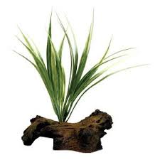 Top Fin Wood Log Plant Artificial Plants Petsmart Plants Artificial Plants Aquariums For Sale