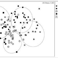 Image result for Microcharis remotiflora